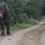 Apprendre la photographie de nuit avec un smartphone découvrez comment maîtriser la photographie de nuit avec votre smartphone grâce à nos conseils pratiques et astuces pour capturer des images époustouflantes, même en basse lumière.