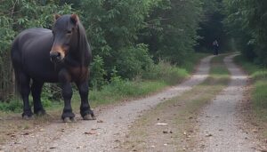 découvrez comment maîtriser la photographie de nuit avec votre smartphone grâce à nos conseils pratiques et astuces pour capturer des images époustouflantes, même en basse lumière.